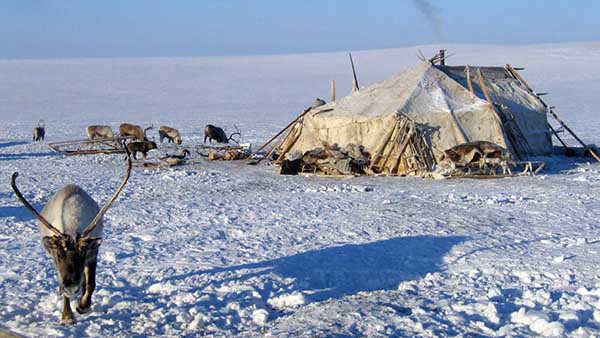 Яранга эскимоса