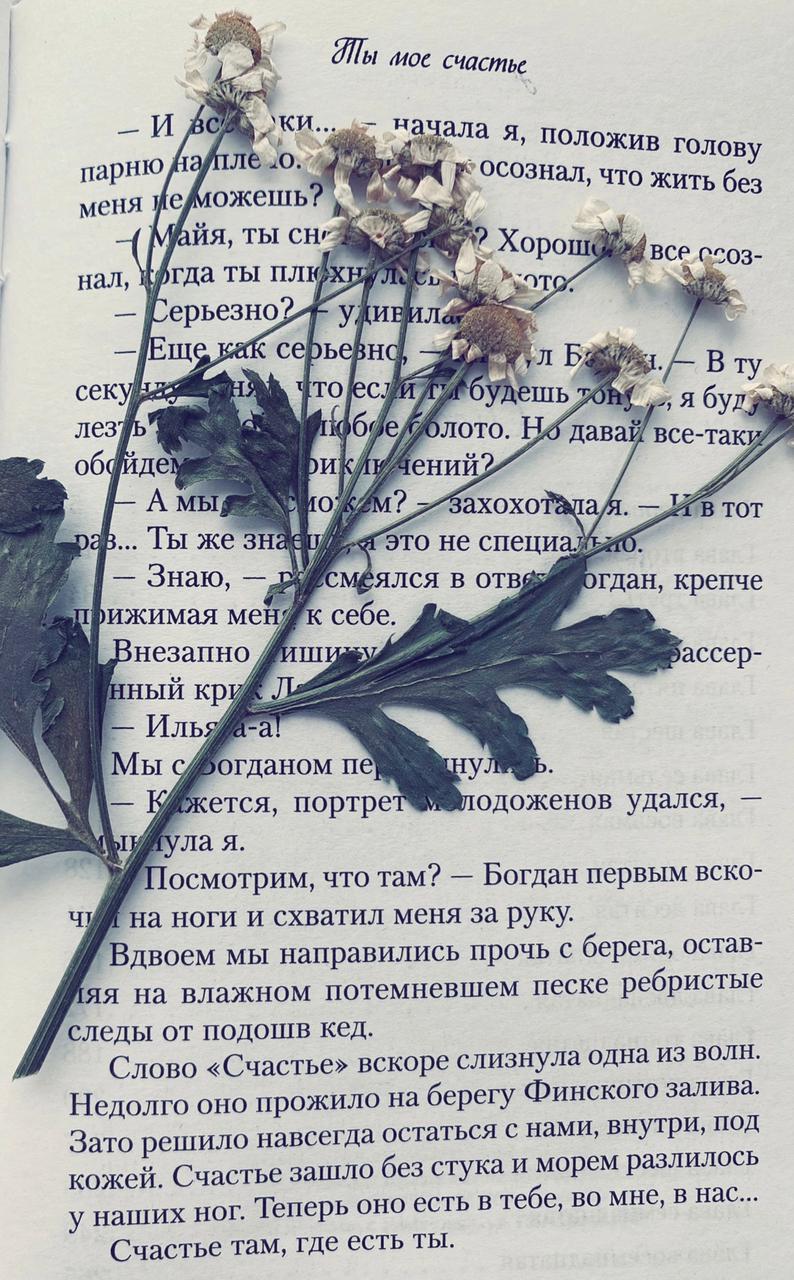 Твои ромашки