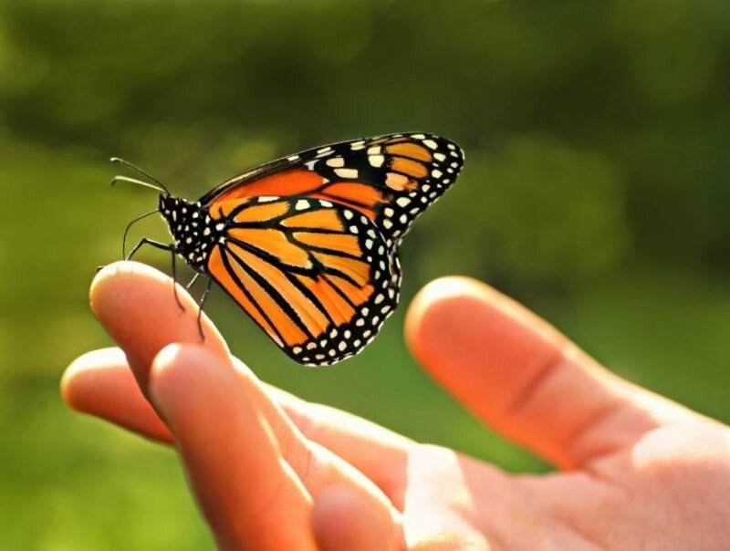 Из года в год, из века в век...