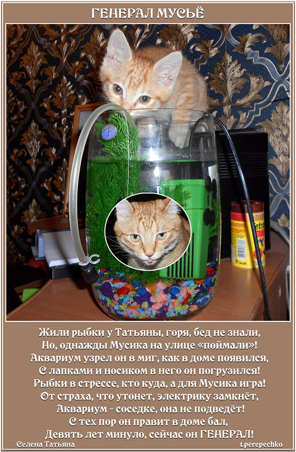 Генерал Мусьё