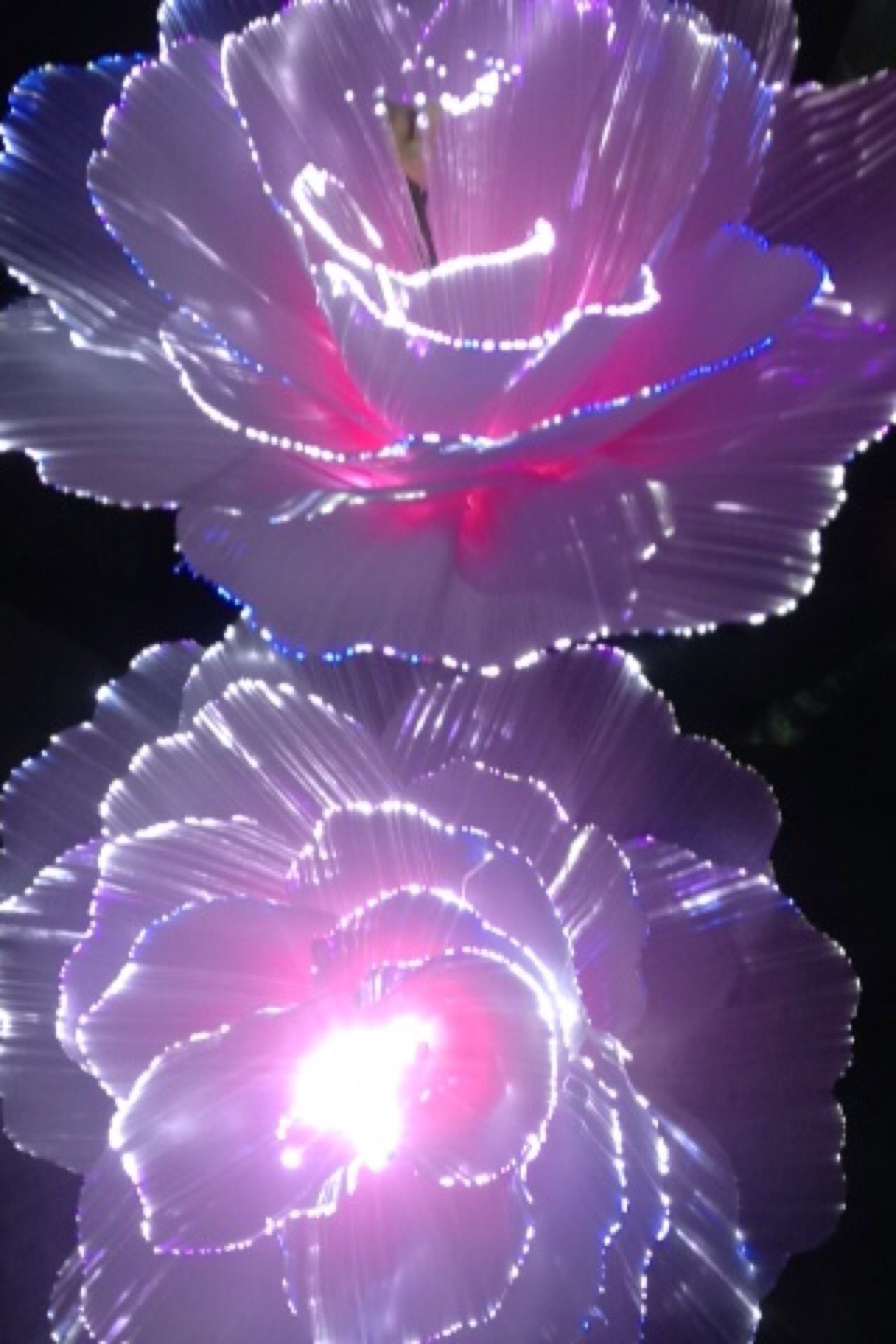 Лепестки цветов