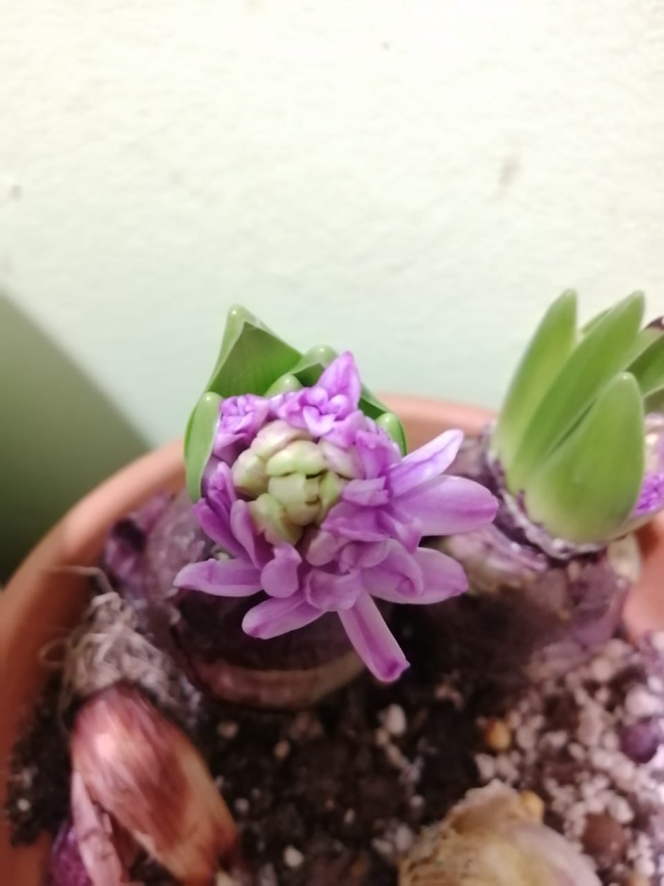 Предвесеннее