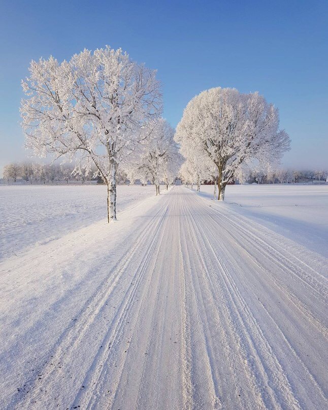 Белое-белое, раннее... с белорусского