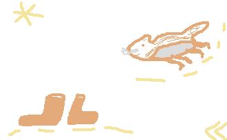 снежняя скаска