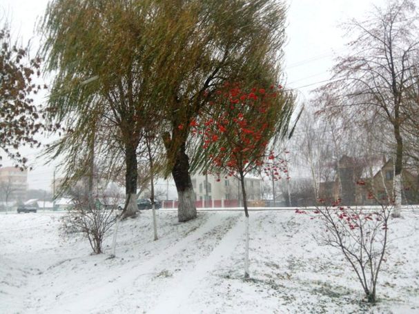 35. Только алые бусы