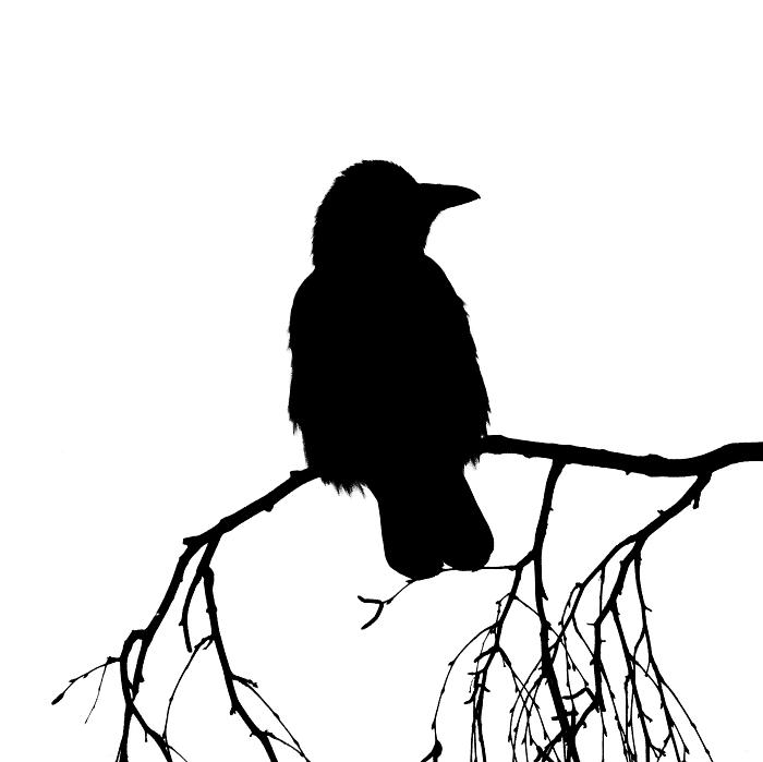 Генделя ария снилась...