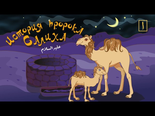 Слова, слова...
