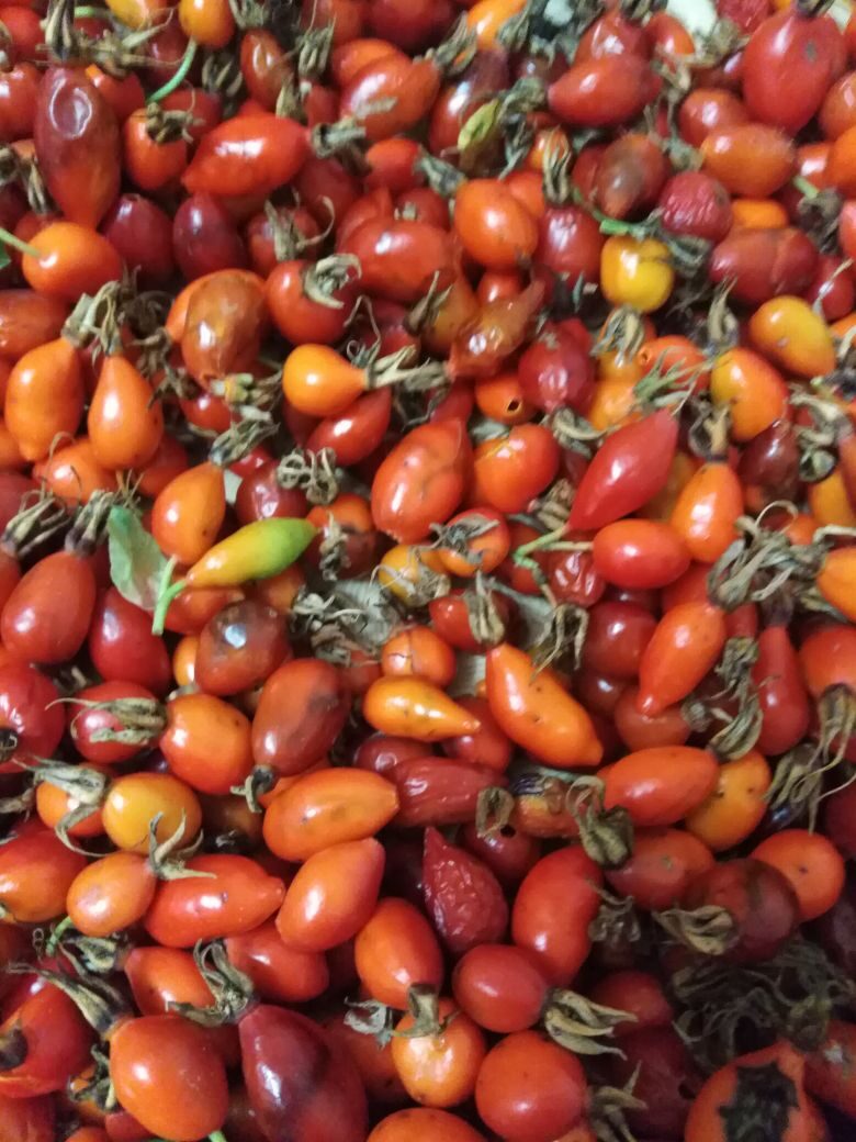 Щедрый садовник (Крюкова Мария Николаевна) / Стихи.ру