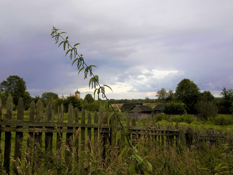 Тешу себя памятейкою..