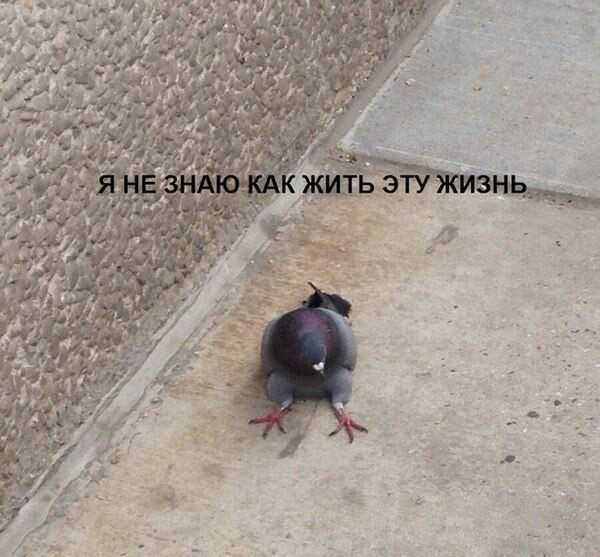 в бюро находок