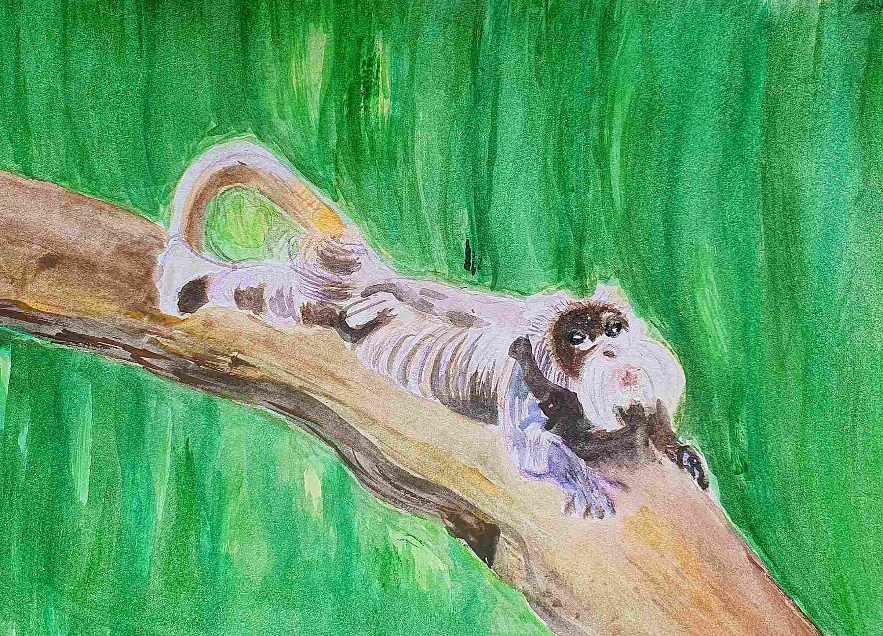 Обезьяна - тамарин