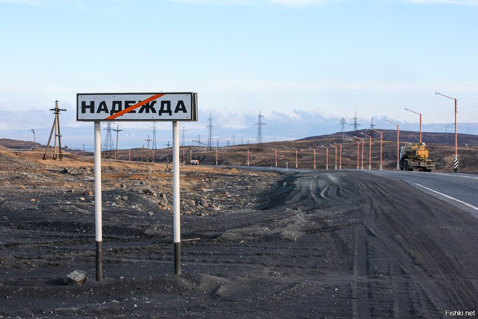 Меня поэты вдохновляют