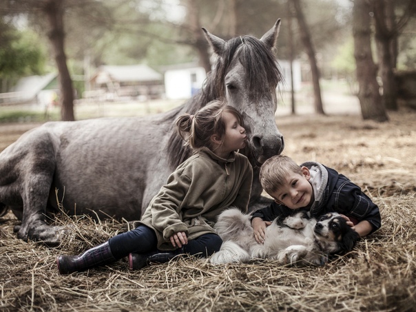 Искренняя любовь