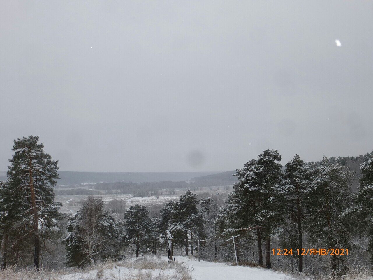 Сказочный лес