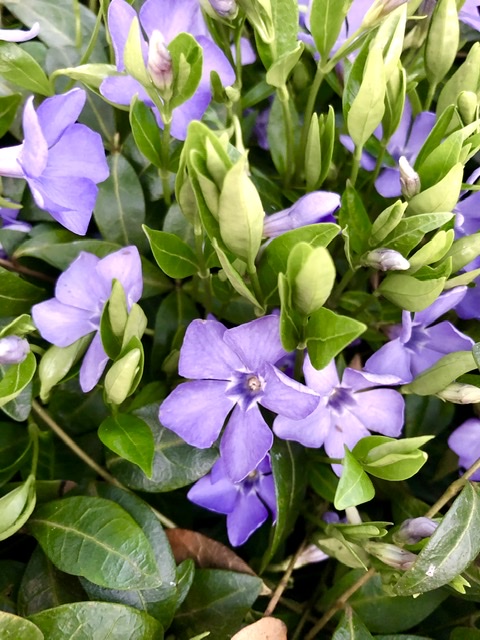 Простые радости весны...