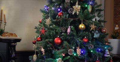 Новогодний вечер