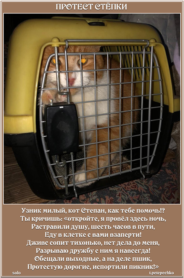 Протест Стёпки