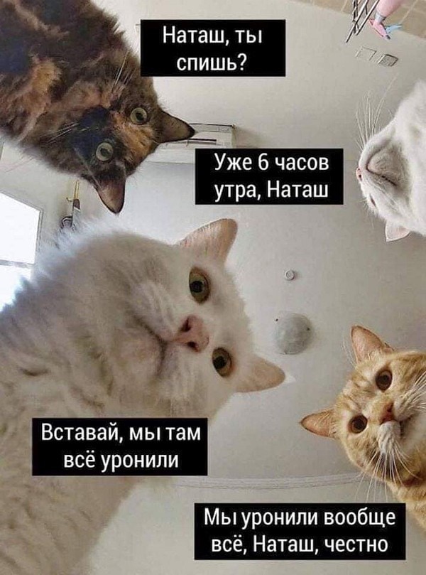 Наташа вставай