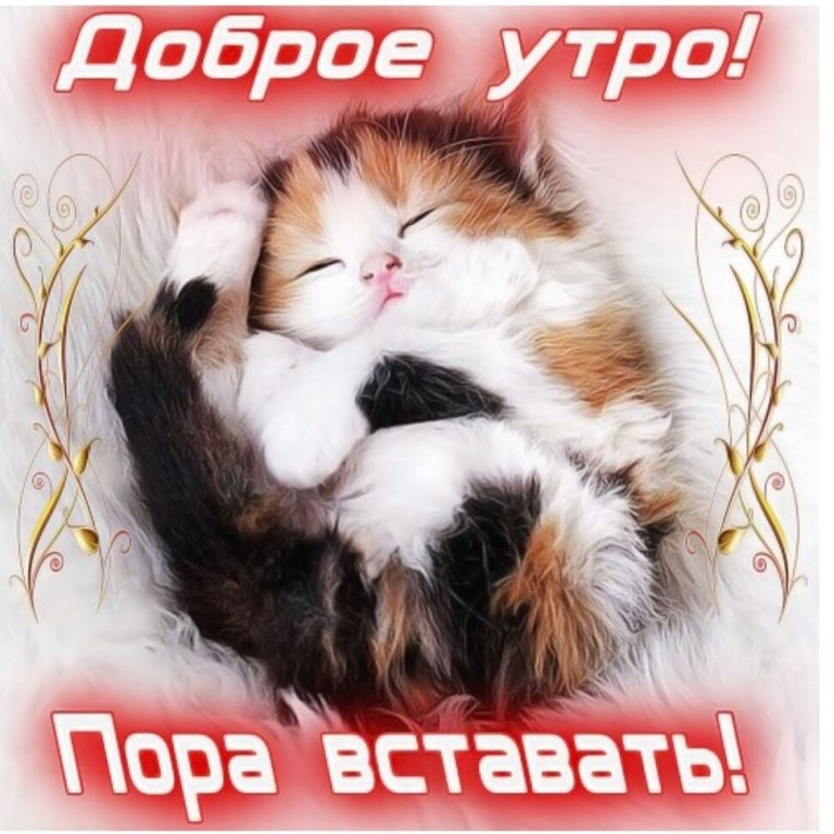Сонная муха