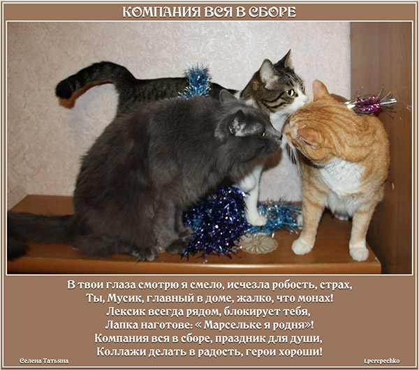 Компания вся в сборе