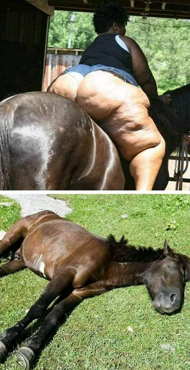 Спасите лошадь!!!