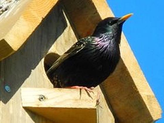 Доброта бескорыстна