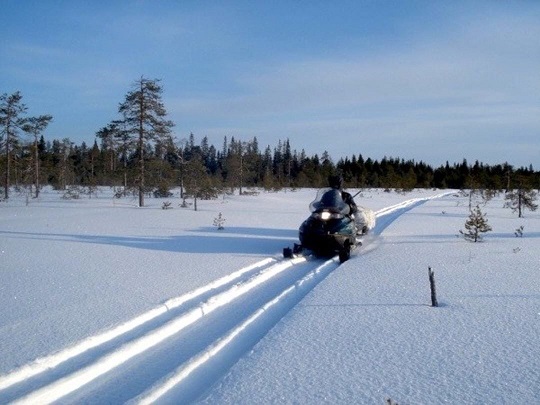 Пейзажи зимы на снегоходе