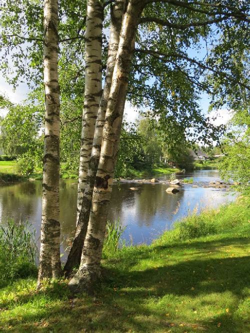 Не сиди уныло