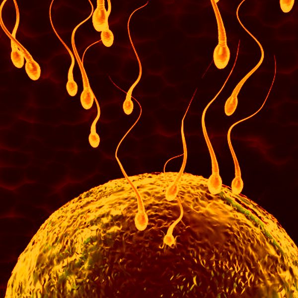 И они спрашивают тебя о менструации