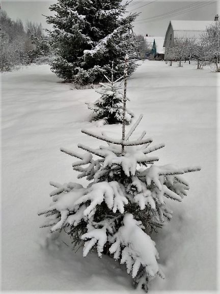 А можно мне немного помечтать