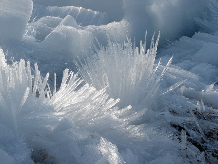 Запоздалое пожелание с Новым годом