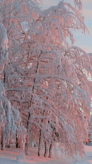 Праздник света!