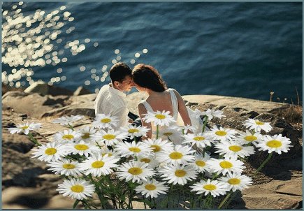 Страна букетов и цветов