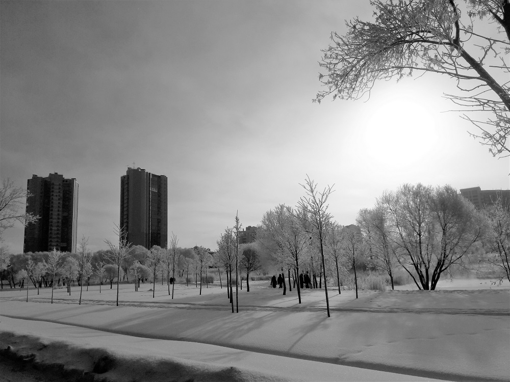 Не буду я ни завтра, ни теперь...