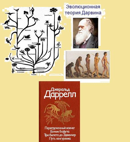 телепортационная будка