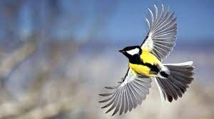 Молчать - не значит согласиться...