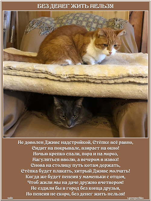 Без денег жить нельзя