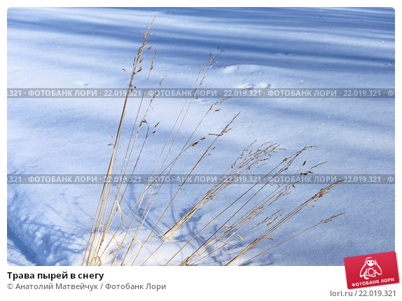 Им всё равно... Людмила Юферова