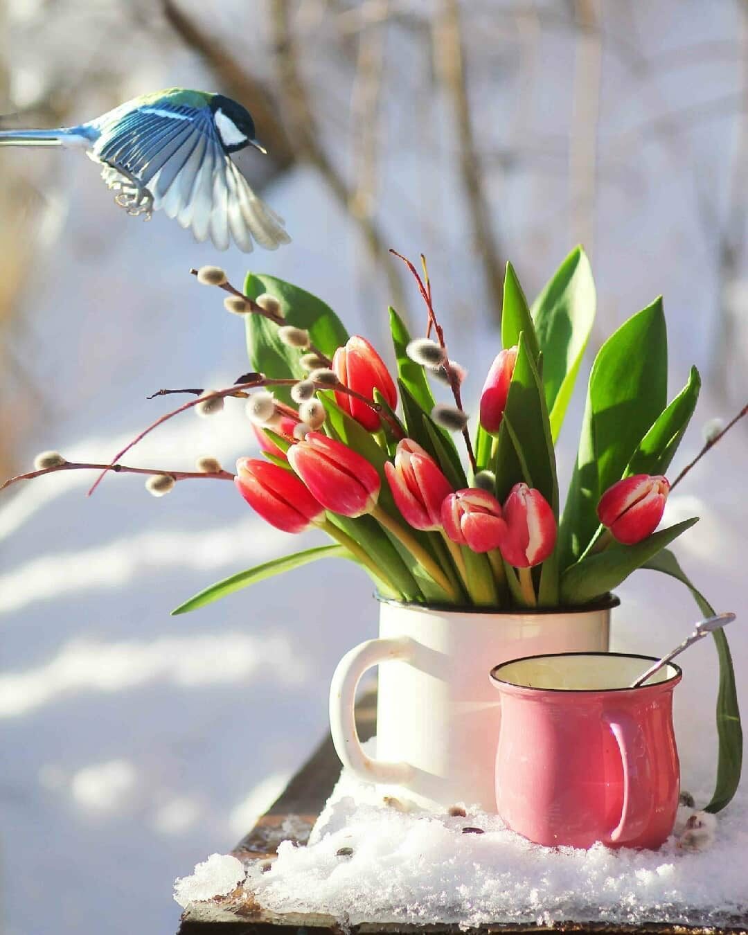 Доброе утро картинки весенние красивые апрельские. Доброго весеннего дня. Весеннее настроение. Пожелания с добрым весенним утром.