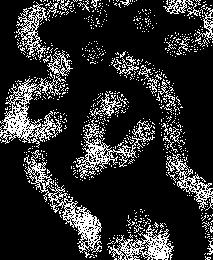 флюоресцентныя виденья