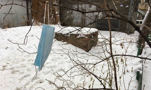 Маски на снегу