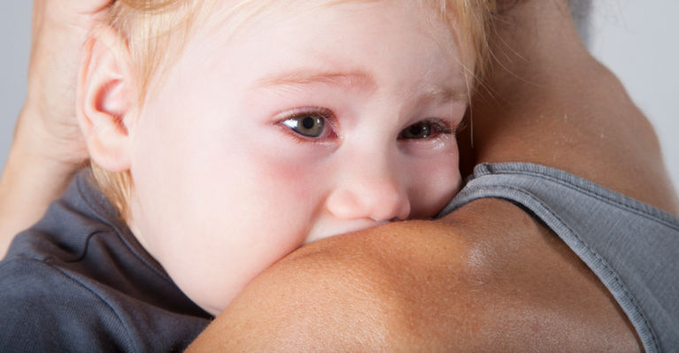 Ванино счастье