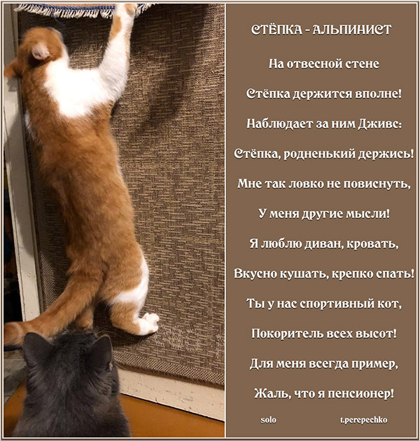 Стёпка - альпинист