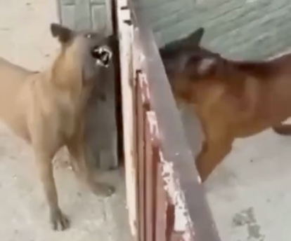 Блогерам и прочим...