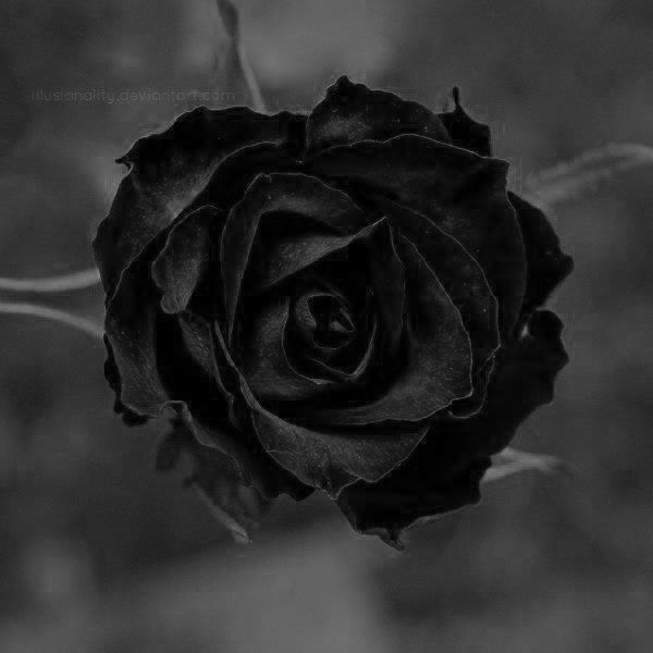 В сером парке...