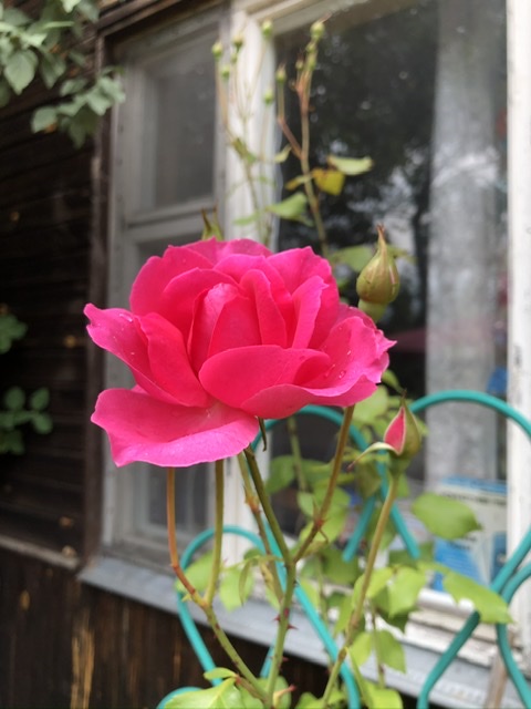 Элегия раннего утра...