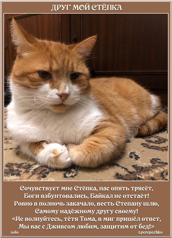 Друг мой Стёпка