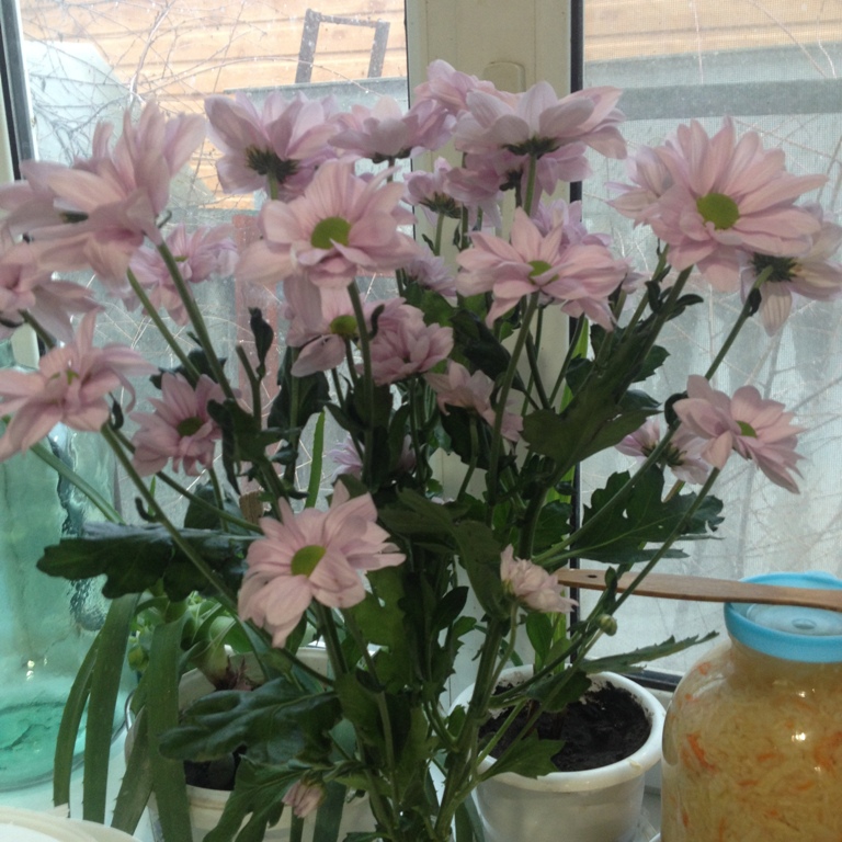 И букетик...