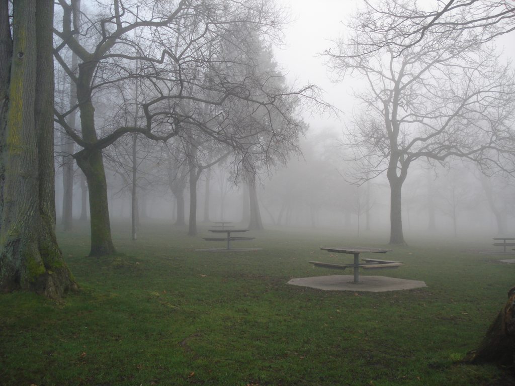 В ожидании...