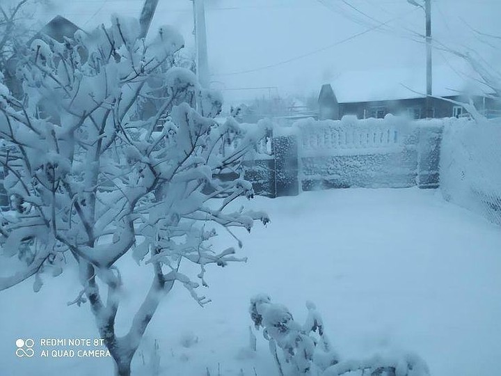 Сын-последушек февраль